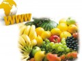 消費者轉向網絡獲取安全食品信息搜索營銷平臺助力企業低成本營銷 (1)