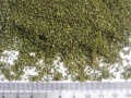 神農有機綠碎茶