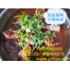 學(xué)笨鴨火鍋技術(shù)到哪里？宮廷笨鴨火鍋培訓(xùn) 火鍋底料培訓(xùn)