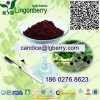 林格貝供應(yīng) 稠李子花青素 天然植物提取物