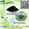 供應(yīng)優(yōu)質(zhì) 藍(lán)靛果花青素 量大從優(yōu)