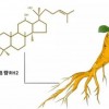 人參皂苷Rg3生產廠家